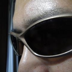 hide_yann