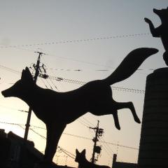 inaba_darkfox