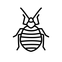 diypestcontrol