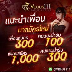 vegus1113