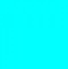12100910_rr