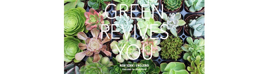 Elforbr エルフォーブル 恵比寿にある植物とプランターの専門店 Buzz バズ がセレクトしたポットと多肉植物でオリジナルの寄せ植えを作れるワークショップ Peatix