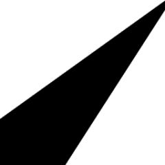 literalice