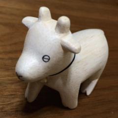 ショウコ