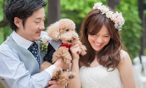 【おすすめ】ペットと一緒に結婚式できる式場まとめ【ウェディング】