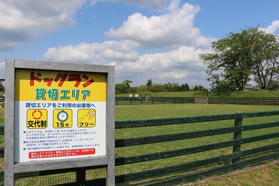 動物,犬,猫,しつけ,飼い方,育て方,病気,健康