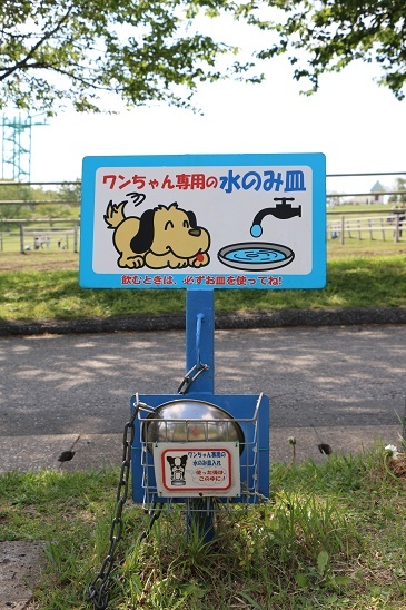 動物,犬,猫,しつけ,飼い方,育て方,病気,健康