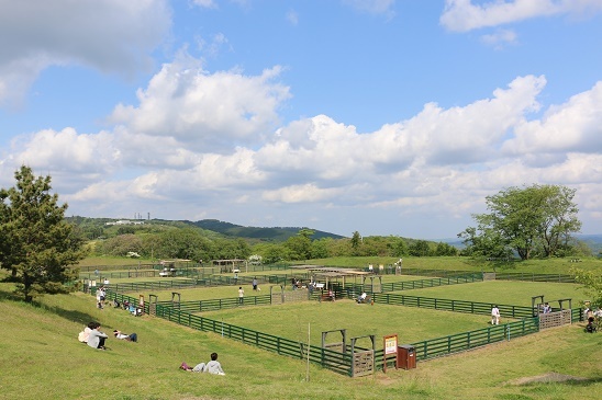 動物,犬,猫,しつけ,飼い方,育て方,病気,健康