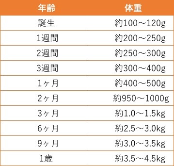 動物,犬,猫,しつけ,飼い方,育て方,病気,健康