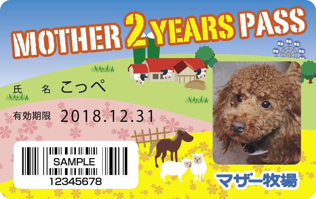 動物,犬,猫,しつけ,飼い方,育て方,病気,健康