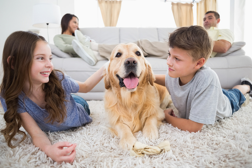 動物,犬,猫,しつけ,飼い方,育て方,病気,健康