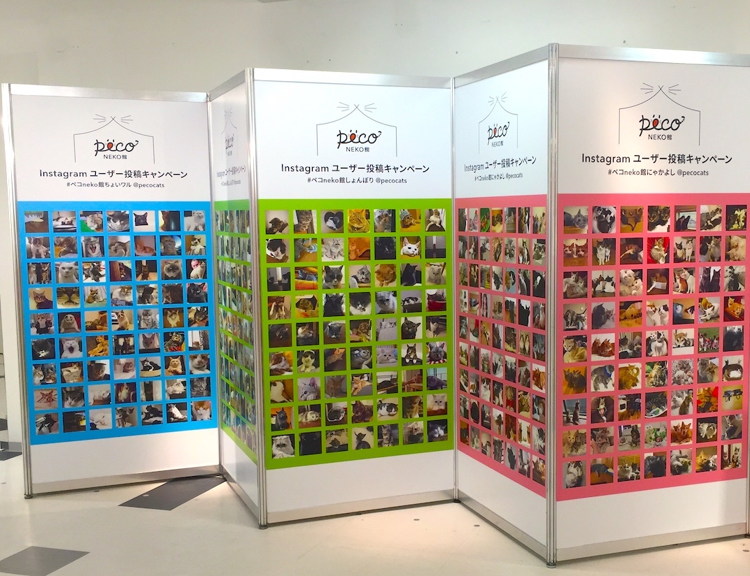 会場ではこのように展示されています! うちのコがどこかにいるかも♪