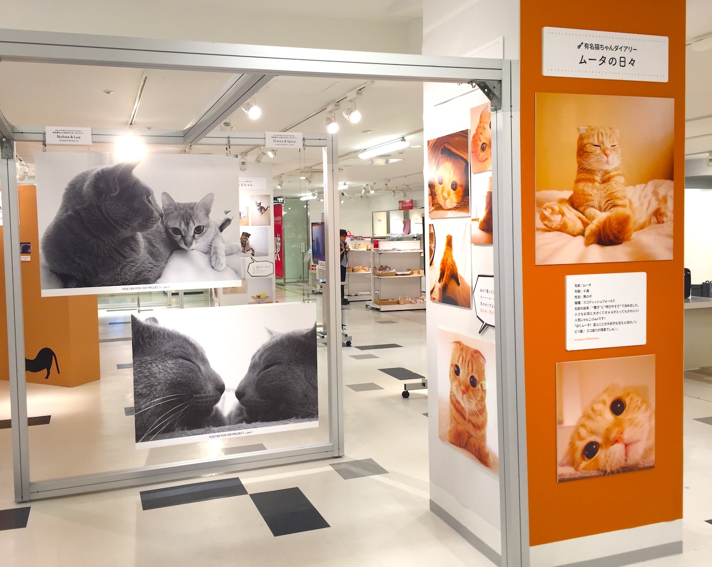 動物,犬,猫,しつけ,飼い方,育て方,病気,健康
