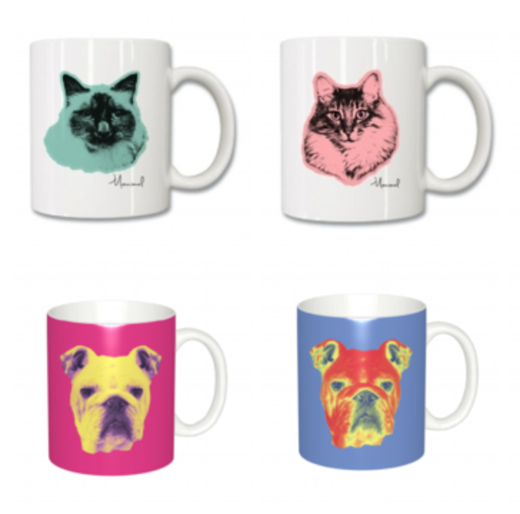 動物,犬,猫,しつけ,飼い方,育て方,病気,健康