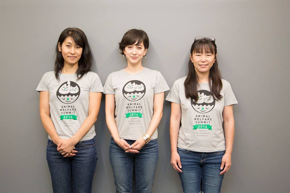 動物,犬,猫,しつけ,飼い方,育て方,病気,健康