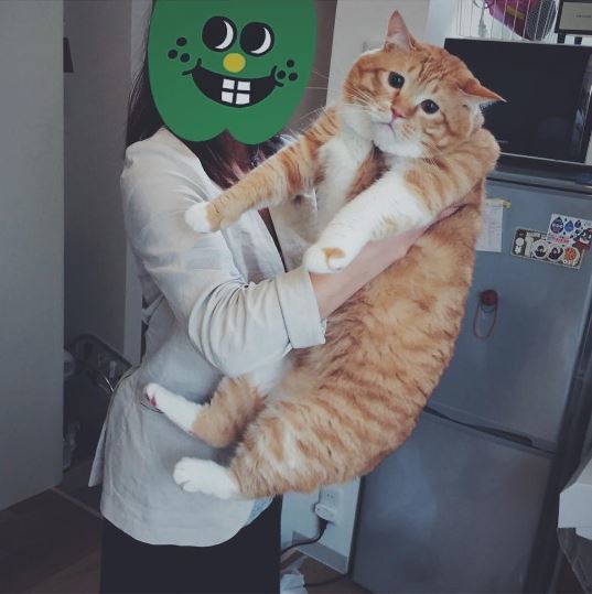 8.だっこが大好き♪