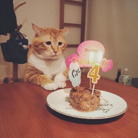 9.お誕生日ですね~