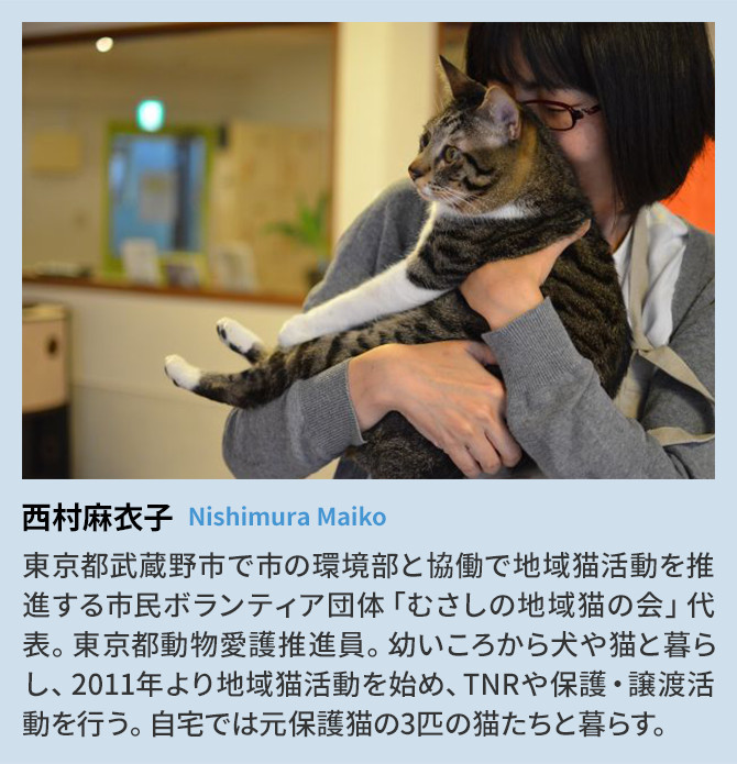 動物,犬,猫,しつけ,飼い方,育て方,病気,健康