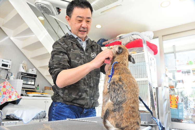 動物,犬,猫,しつけ,飼い方,育て方,病気,健康