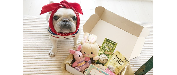 【PECOBOX6月号 ♡ 受付開始】今回のテーマは、「梅雨を楽しもう」しあわせつまったペコのハコ。