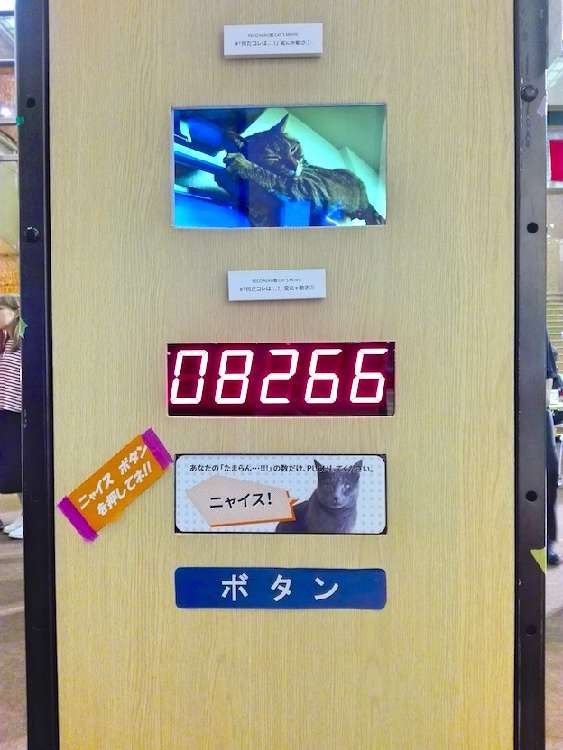 動物,犬,猫,しつけ,飼い方,育て方,病気,健康