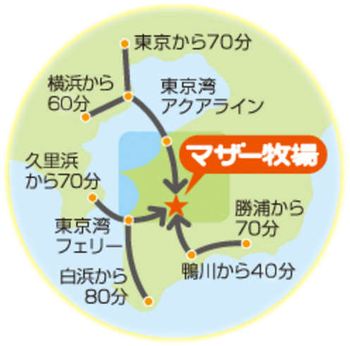 動物,犬,猫,しつけ,飼い方,育て方,病気,健康