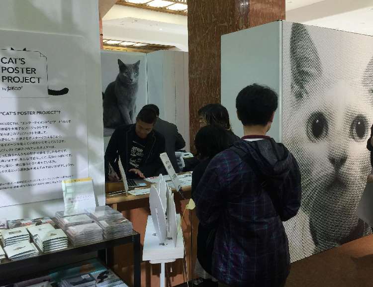 動物,犬,猫,しつけ,飼い方,育て方,病気,健康
