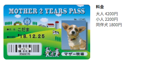 動物,犬,猫,しつけ,飼い方,育て方,病気,健康