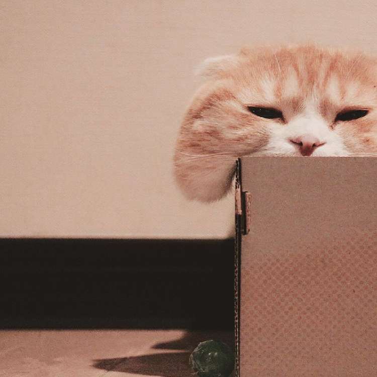 1.