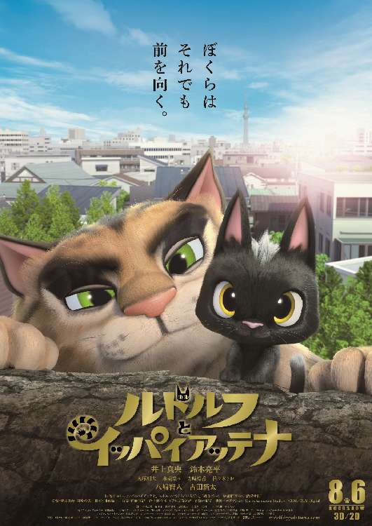 動物,犬,猫,しつけ,飼い方,育て方,病気,健康