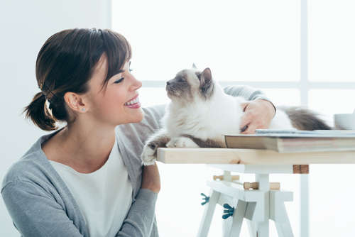 動物,犬,猫,しつけ,飼い方,育て方,病気,健康