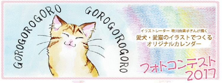 動物,犬,猫,しつけ,飼い方,育て方,病気,健康