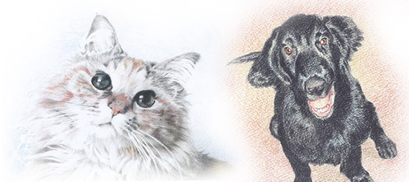 動物,犬,猫,しつけ,飼い方,育て方,病気,健康
