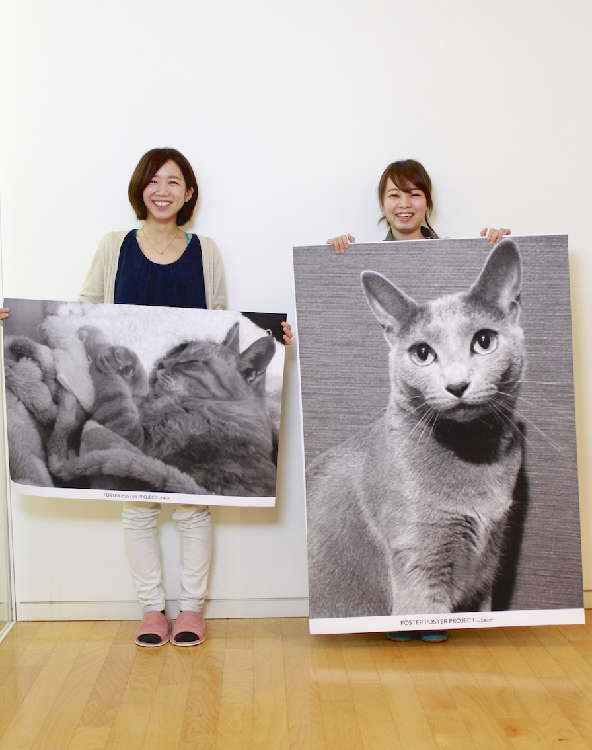 動物,犬,猫,しつけ,飼い方,育て方,病気,健康