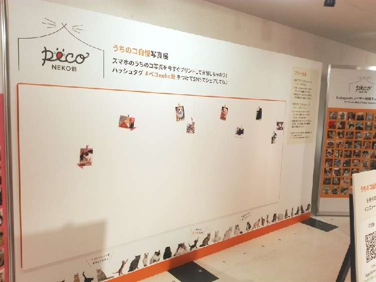 開催直後は寂しい写真展でしたが…