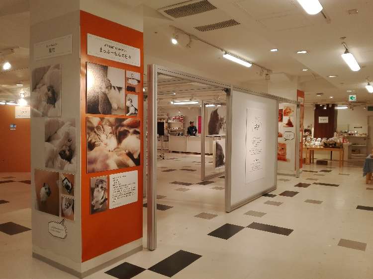 動物,犬,猫,しつけ,飼い方,育て方,病気,健康