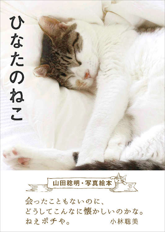 動物,犬,猫,しつけ,飼い方,育て方,病気,健康