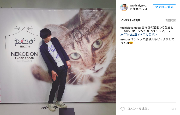 動物,犬,猫,しつけ,飼い方,育て方,病気,健康