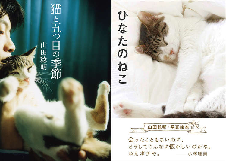 動物,犬,猫,しつけ,飼い方,育て方,病気,健康