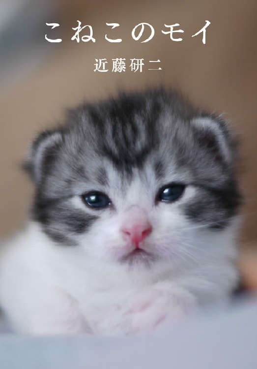 動物,犬,猫,しつけ,飼い方,育て方,病気,健康