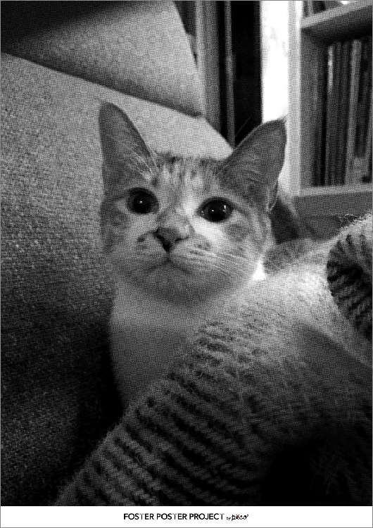 ポチ実ちゃん②