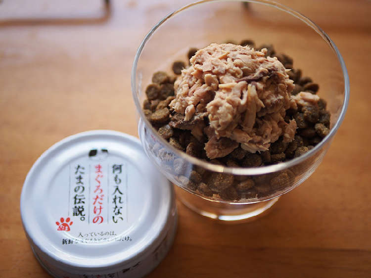 動物,犬,猫,しつけ,飼い方,育て方,病気,健康