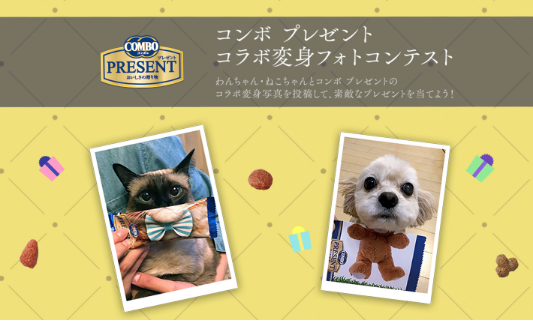 動物,犬,猫,しつけ,飼い方,育て方,病気,健康