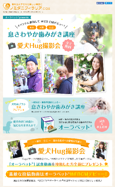 動物,犬,猫,しつけ,飼い方,育て方,病気,健康