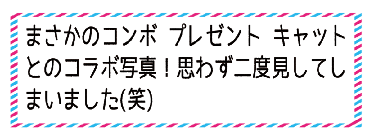 動物,犬,猫,しつけ,飼い方,育て方,病気,健康