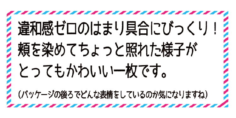 動物,犬,猫,しつけ,飼い方,育て方,病気,健康