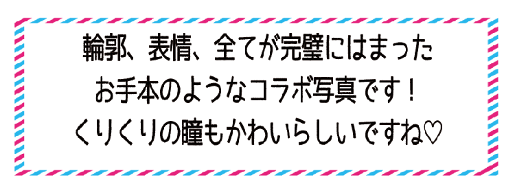 動物,犬,猫,しつけ,飼い方,育て方,病気,健康