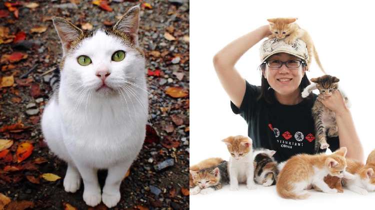 動物,犬,猫,しつけ,飼い方,育て方,病気,健康