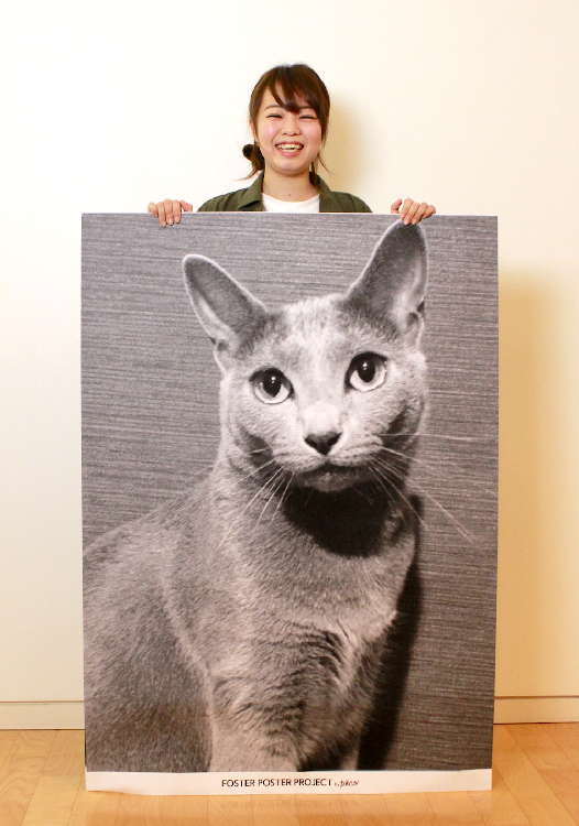 動物,犬,猫,しつけ,飼い方,育て方,病気,健康
