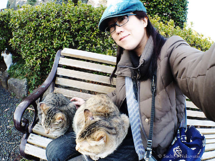 動物,犬,猫,しつけ,飼い方,育て方,病気,健康